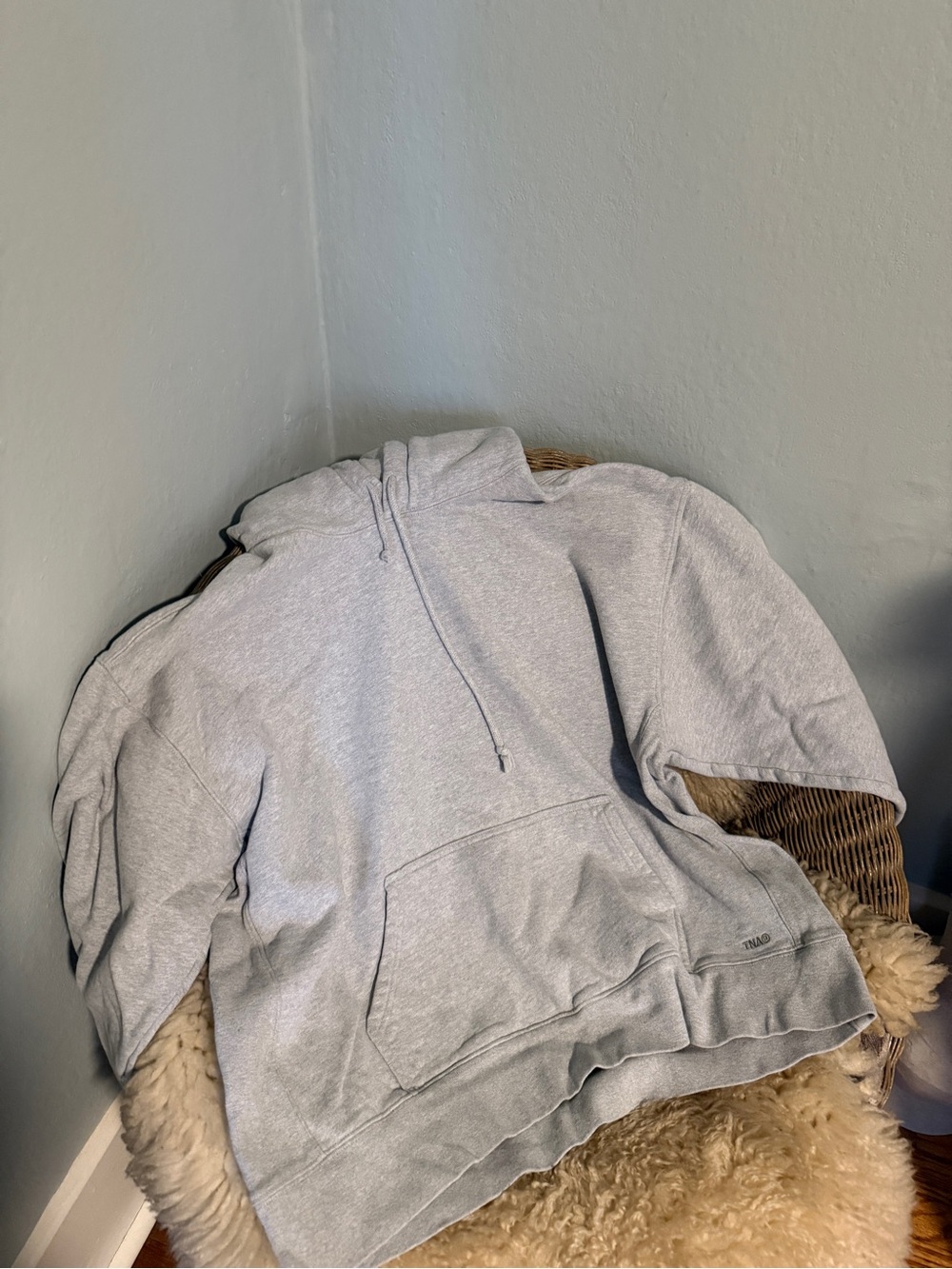 Aritzia Grey Hoodie Sweatshirt Boyfriend Oversized XL extra Fleece TNA